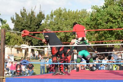Wrestling Ring