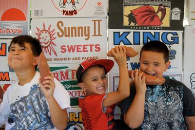 Sweet Potato Fans