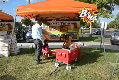 FFA Kidzone 2